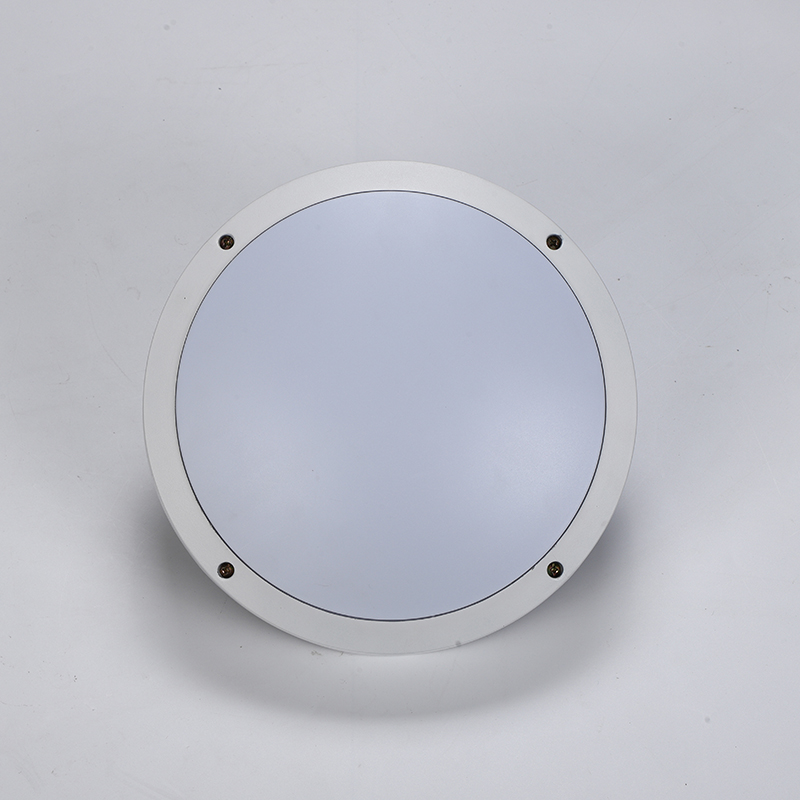 LED outdoor Ceiling Light 