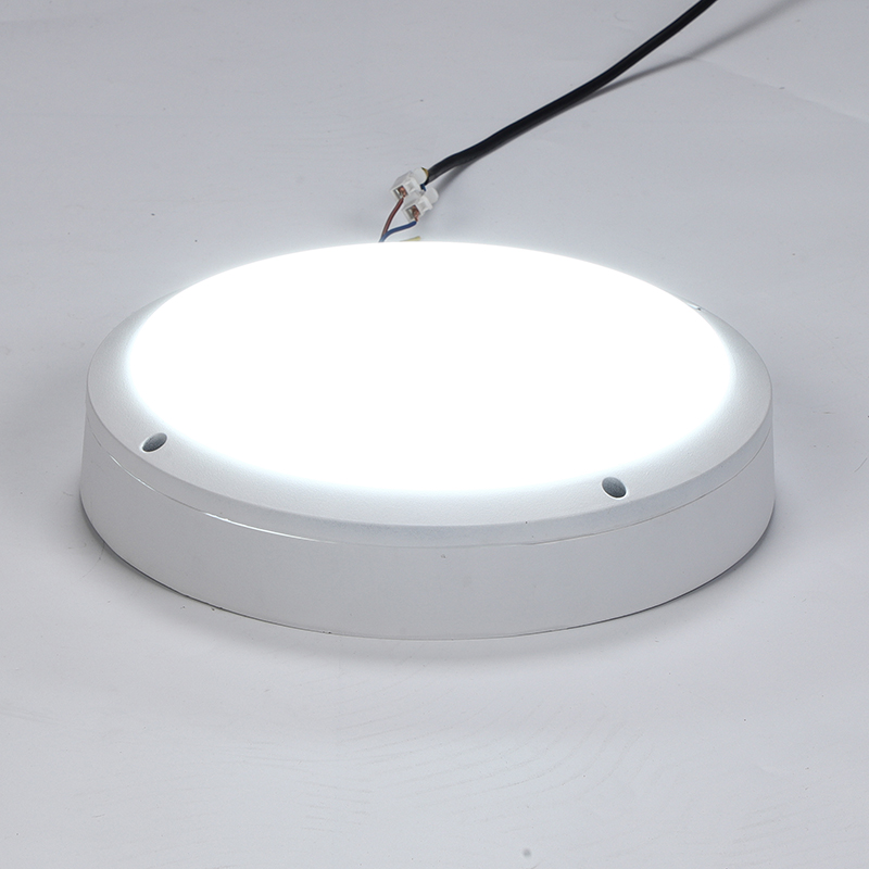 LED outdoor Ceiling Light  