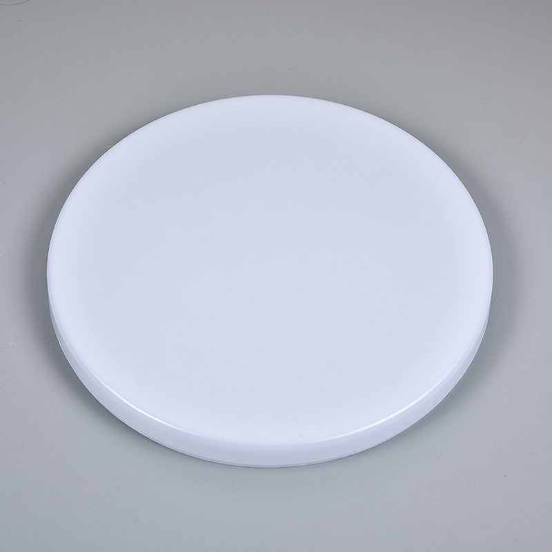 LED Indoor Ceiling Light IP65