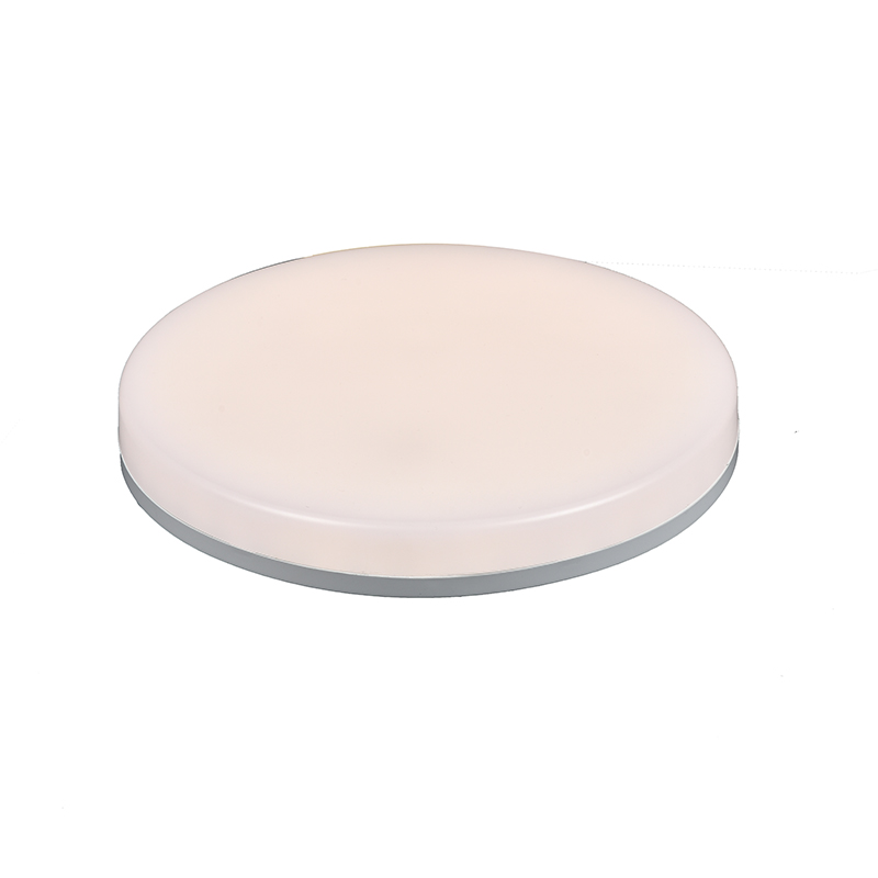 Sensor LED Indoor Ceiling Light IP65