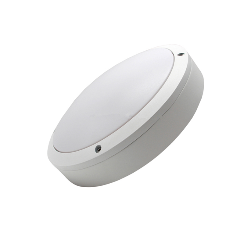 LED outdoor Ceiling Light IP65