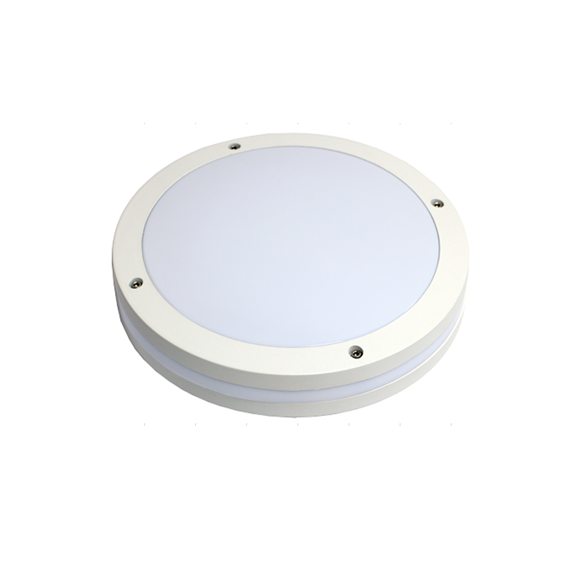 LED outdoor Ceiling Light IK10 IP65 